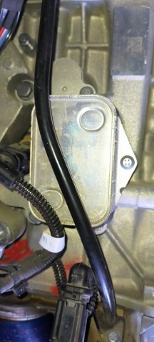PEUGEOT 9815697880 Radiador de aceite  disponible Lugo