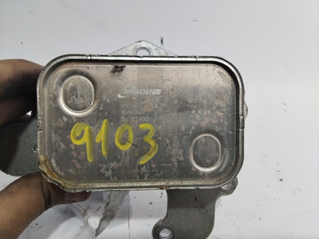 9815697880 PEUGEOT Radiador de aceite  comprar en Oviedo