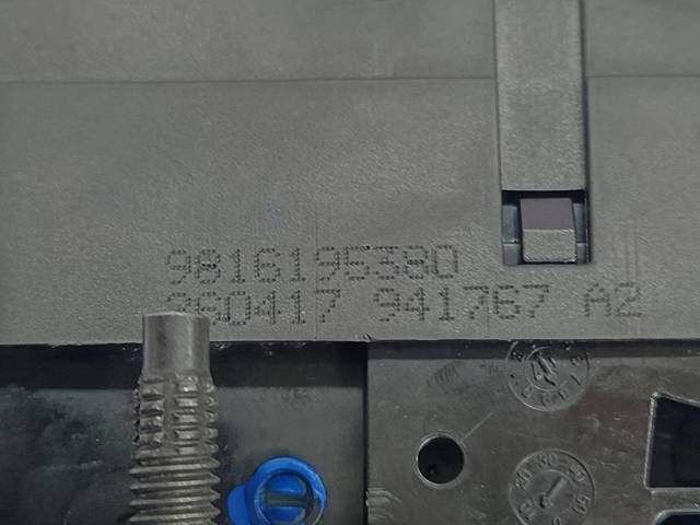 9816195380 Peugeot/Citroen