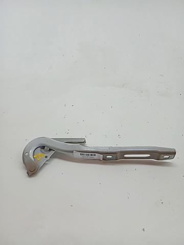 9816485080 Peugeot/Citroen
