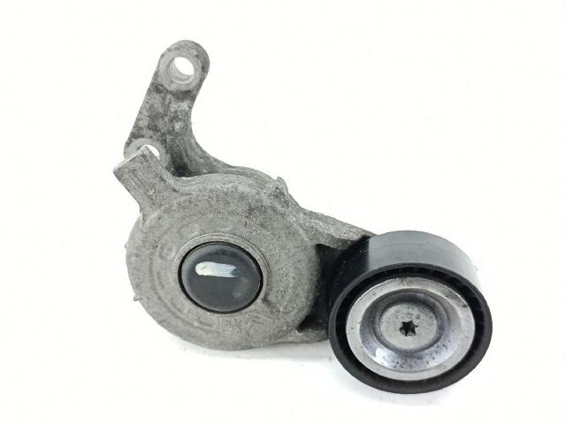 Polea tensora, correa poli V 9816682480 PEUGEOT