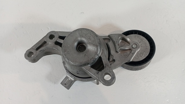 9816682480 Peugeot/Citroen