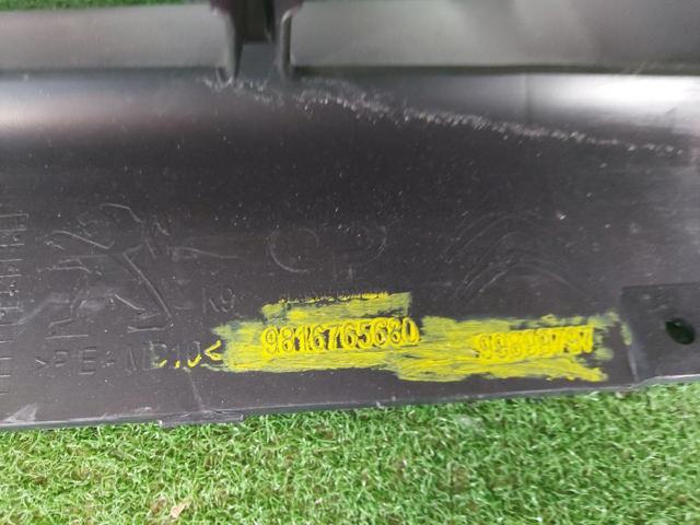 9816765680 Peugeot/Citroen