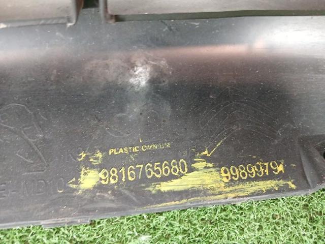 9816765680 Peugeot/Citroen