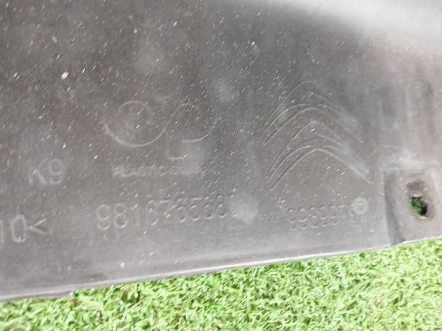 9816765680 Peugeot/Citroen