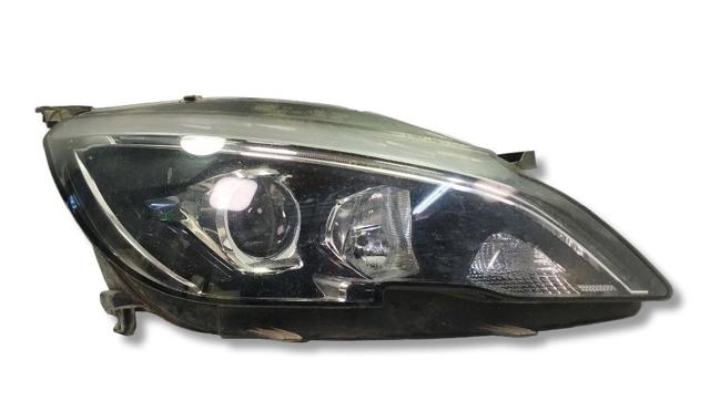 9816990580 Peugeot/Citroen