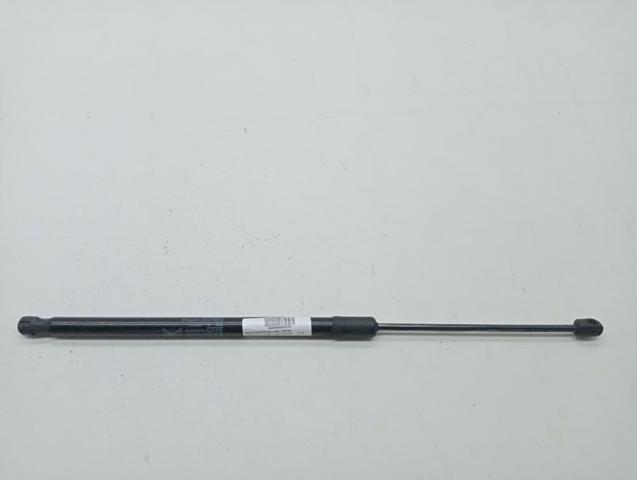 Amortiguador maletero para Citroen C5 
