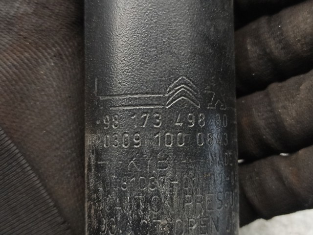 PEUGEOT 9817349880 Amortiguador trasero comprar Pamplona