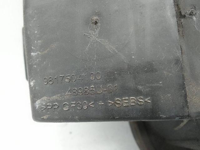 9817504180 Peugeot/Citroen
