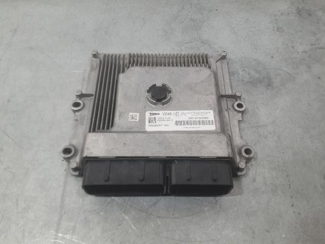 9818160080 Peugeot/Citroen