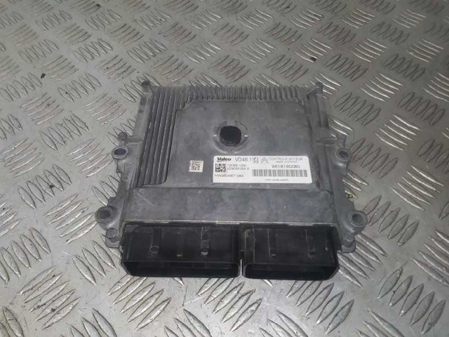 9818160080 Peugeot/Citroen