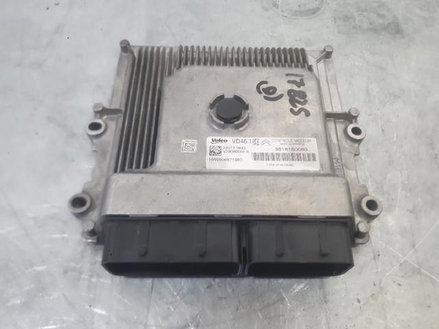 9818160080 Peugeot/Citroen