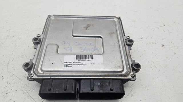 9818160080 Peugeot/Citroen