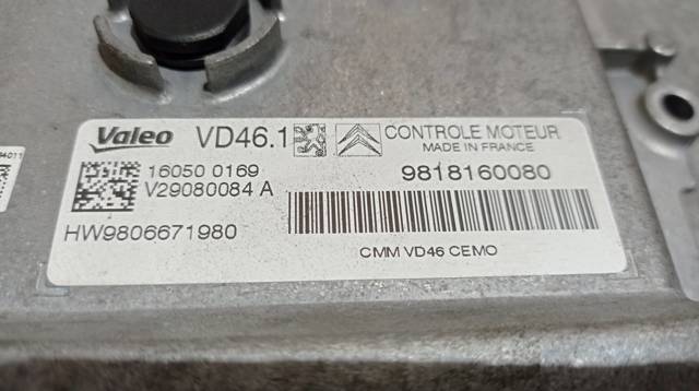 9818160080 Peugeot/Citroen