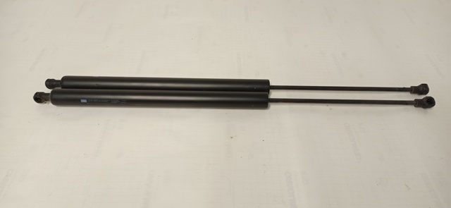 PEUGEOT 9819027880 Amortiguador de la tapa del maletero  comprar en Albacete