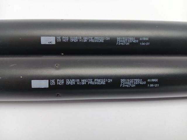 PEUGEOT 9819027880 Amortiguador de la tapa del maletero  comprar en Albacete
