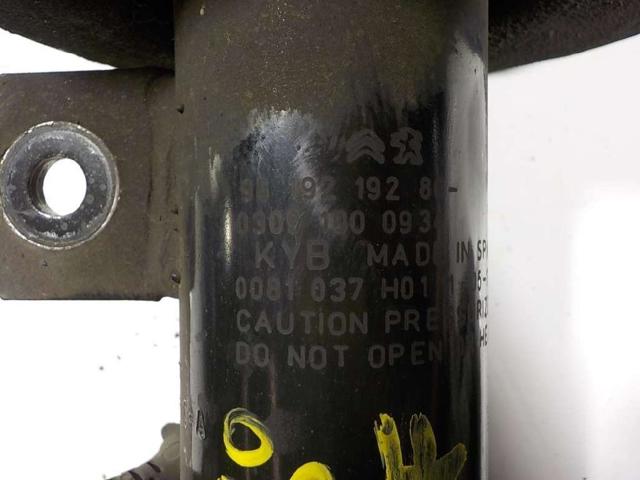 9819219280 PEUGEOT Amortiguador delantero derecho  comprar en Jaén