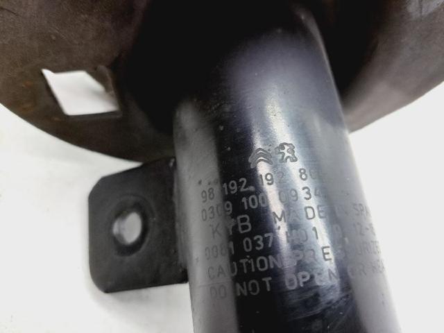9819219280 Amortiguador delantero derecho  disponible Burgos