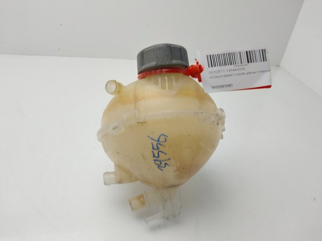 9820083580 Peugeot/Citroen