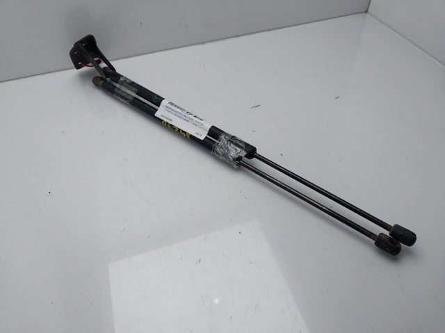 Comprar Amortiguador de puerta trasera C5  