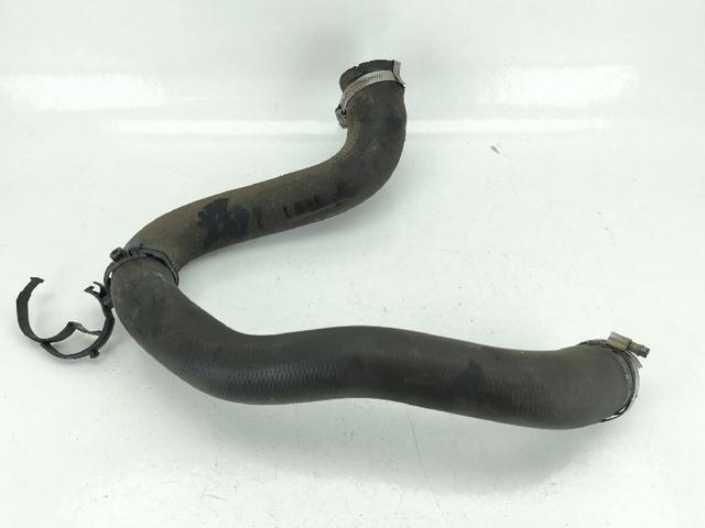 9820100780 Manguera del intercooler  disponible Utrera