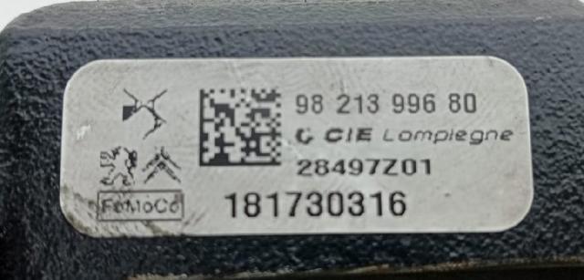 9821399680 PEUGEOT Rampa de combustible comprar Bilbao