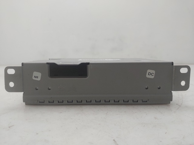 9821908880 Peugeot/Citroen