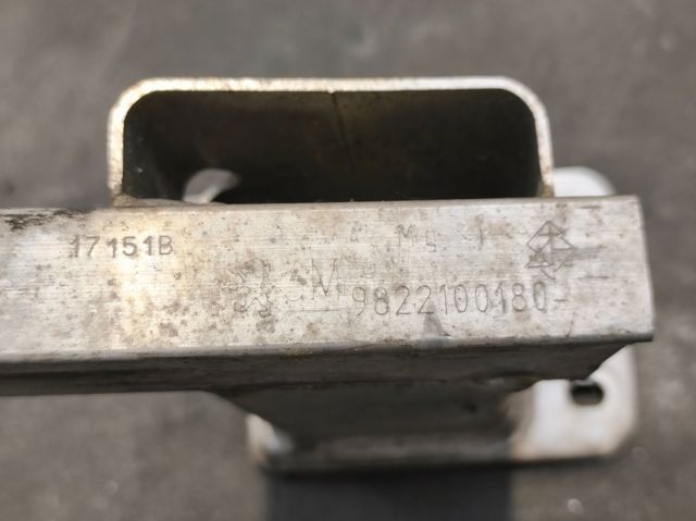 9822100180 Peugeot/Citroen