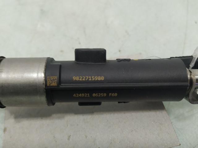 9822715980 PEUGEOT Inyector comprar Bilbao