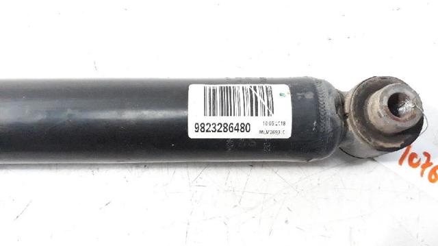 9823286480 PEUGEOT Amortiguador trasero  comprar en Jaén
