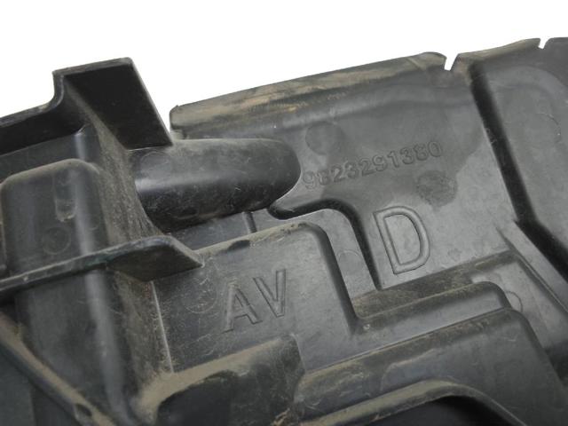 9823291380 Peugeot/Citroen