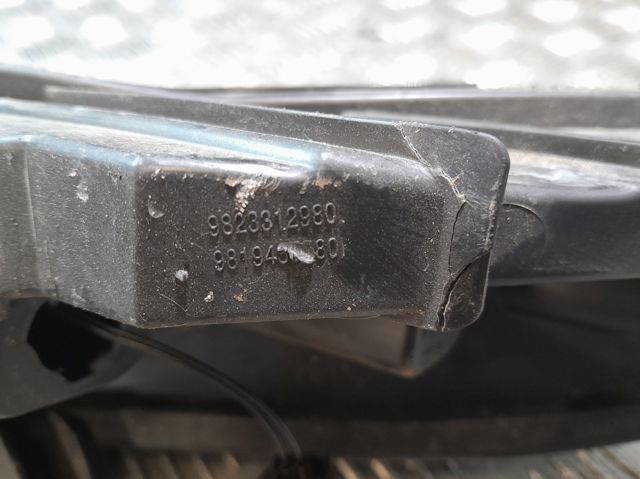 9823312980 Peugeot/Citroen
