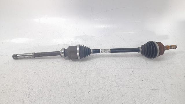 9824359680 Peugeot/Citroen
