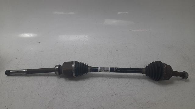 9824359680 Peugeot/Citroen