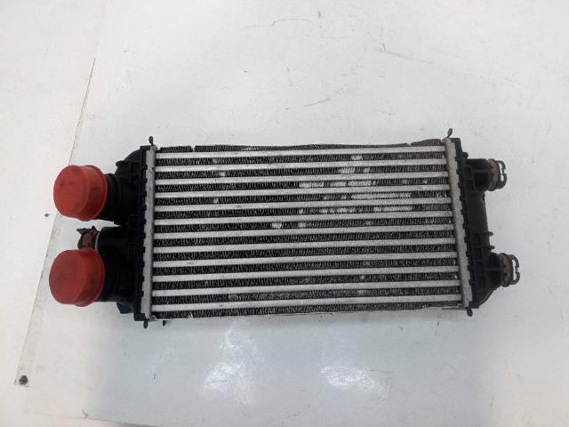 Radiador de aire de admisión Peugeot 2008 II desde 101,64 €