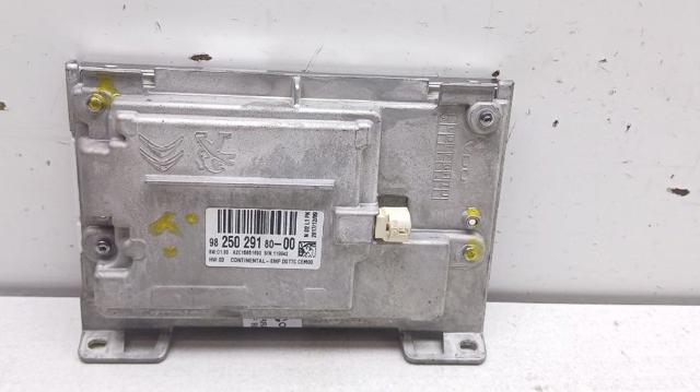 9825029180 PEUGEOT  en stock Córdoba