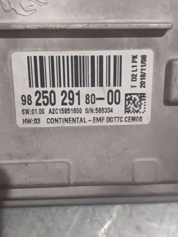 PEUGEOT 9825029180  en stock Terrassa