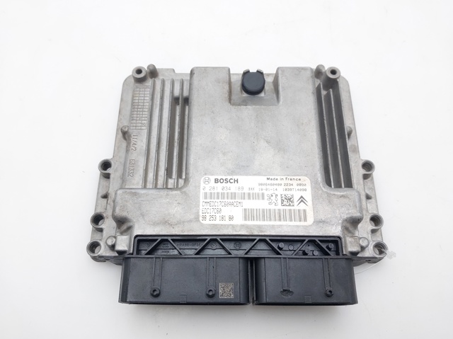 9825318180 Peugeot/Citroen