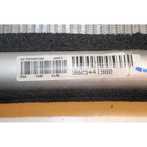 9825441980 Peugeot/Citroen