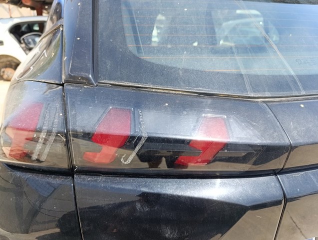 9825957580 Peugeot/Citroen