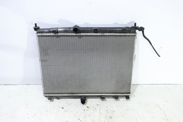 9827174680 Peugeot/Citroen