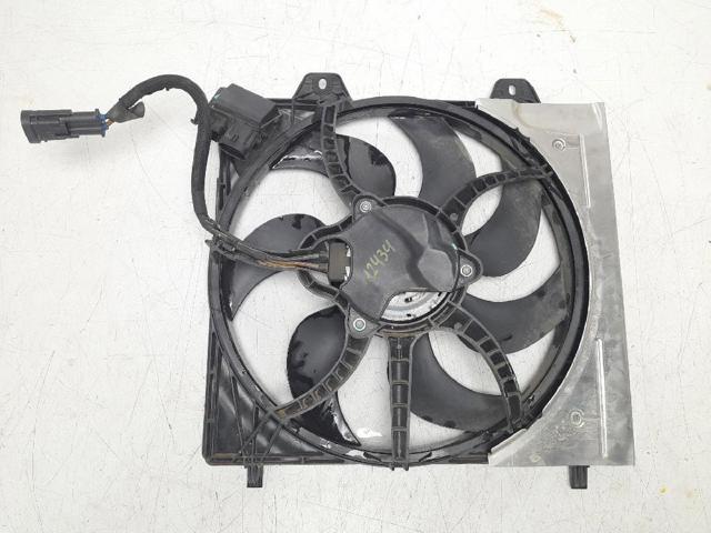 9827752980 Peugeot/Citroen