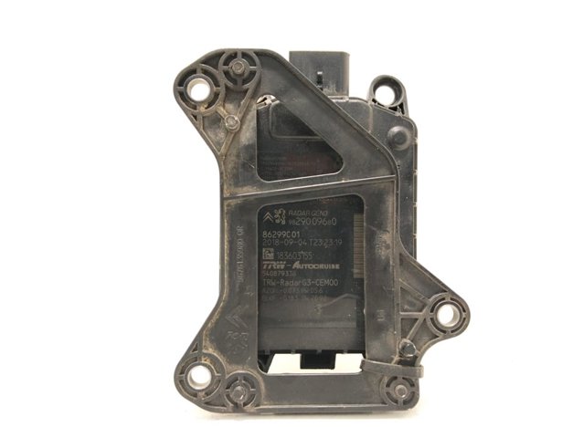 9829009680 Peugeot/Citroen