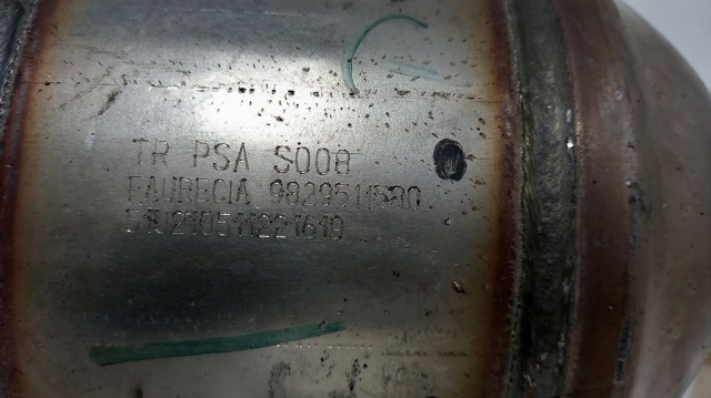 9829511580 Peugeot/Citroen