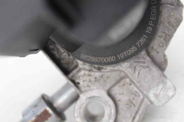 9829870080 PEUGEOT Válvula EGR comprar Bilbao