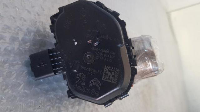 9830171480 Cuerpo de mariposa completo  disponible Utrera