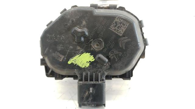 9830171480 Cuerpo de mariposa completo  comprar en Reus