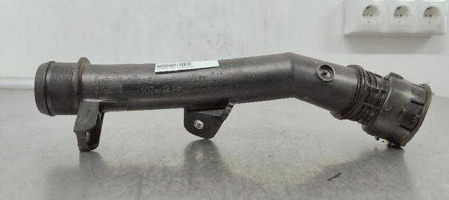 9831710780 Peugeot/Citroen