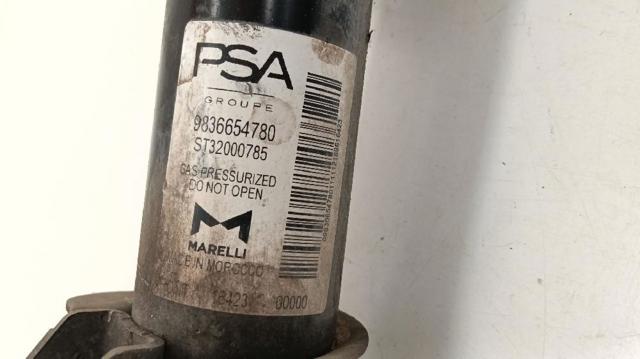 PEUGEOT 9836654780 Amortiguador delantero izquierdo  comprar en Ponferrada