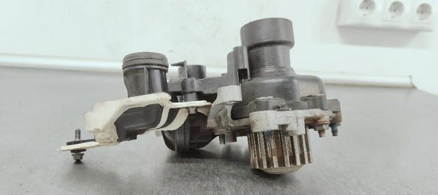 Motor de agua Ford Focus IV hatchback comprar en España